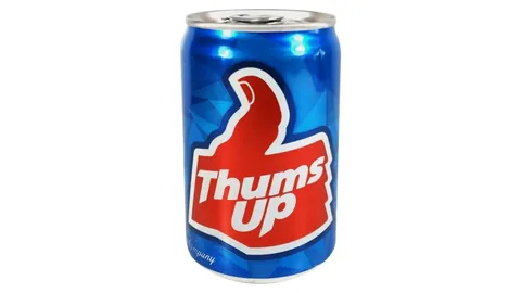 Thums UP Can(Indian Cola Drink 300ML) - Bombay Grill Milton
