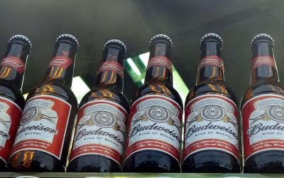 budweiser budweiser